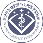 单分子生物化学与生物医学实验室 Sinmolab